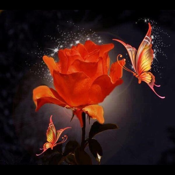 Meet your Posher, Tina - Picture 1 of 1